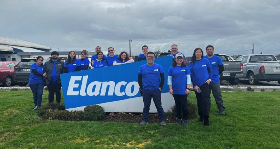 LimpiezaElanco1.jpeg